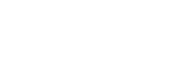Insinet Group